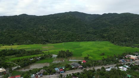 과 정글로 인 산의 풍경적인 공중 풍경, 필리핀 섬 지방, virac, catanduanes