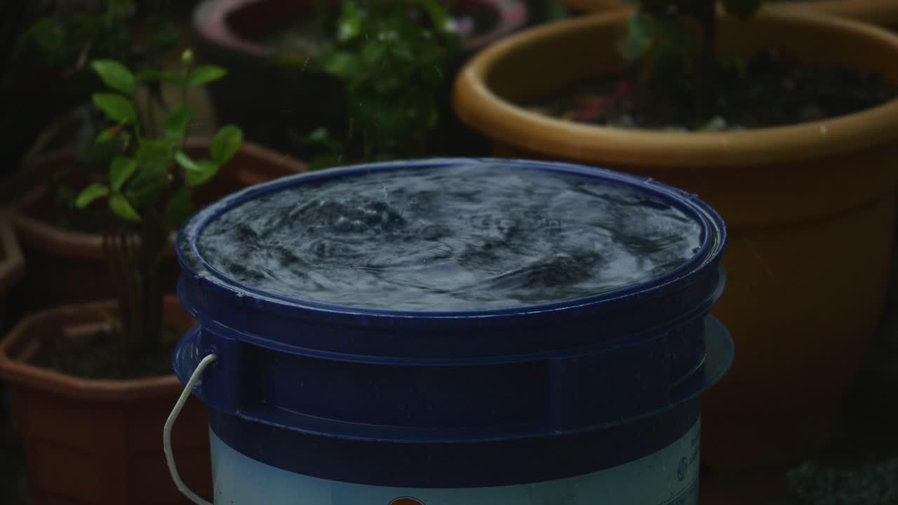 배럴에 있는 물 수집, 수 수집 및 수확