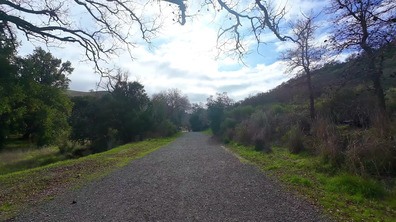 Gravel Walking Path Through Forested Hills Under Bright Blue Sky in Spring in San Francisco