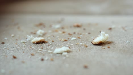 bread crumbs on carpet