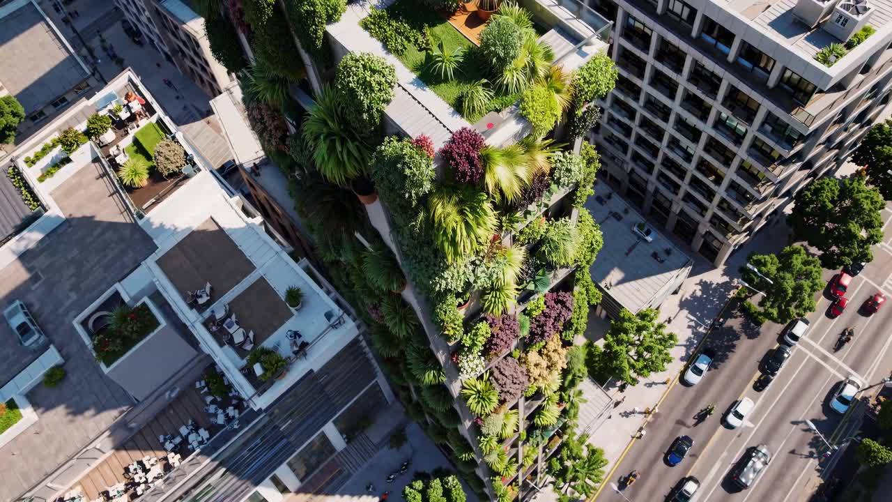 Visão aérea de um jardim vertical em um edifício, mostrando o verde urbano