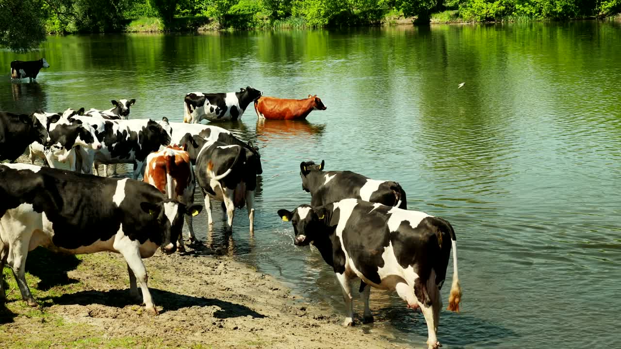 강에 있는 색과 검은색 소