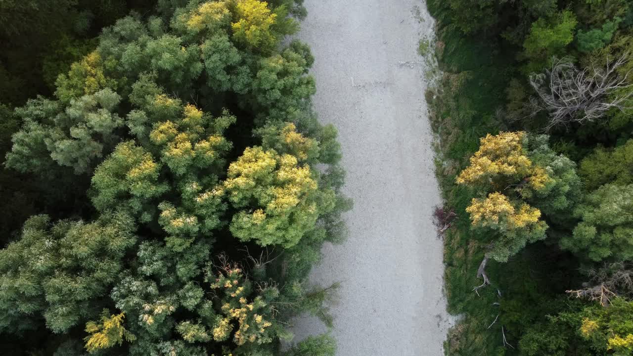 drone zoom de un arroyo seco en eslovaquia