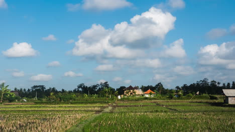 timelapse - puffy clouds over rice fields in bali