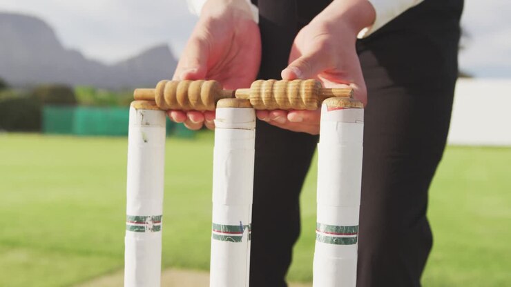 Arbitro di cricket che prepara i paletti