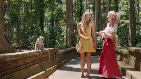 happy tourist women feeding monkey in zoo friend using smartphone taking photo of playful monkeys at wildlife sanctuary