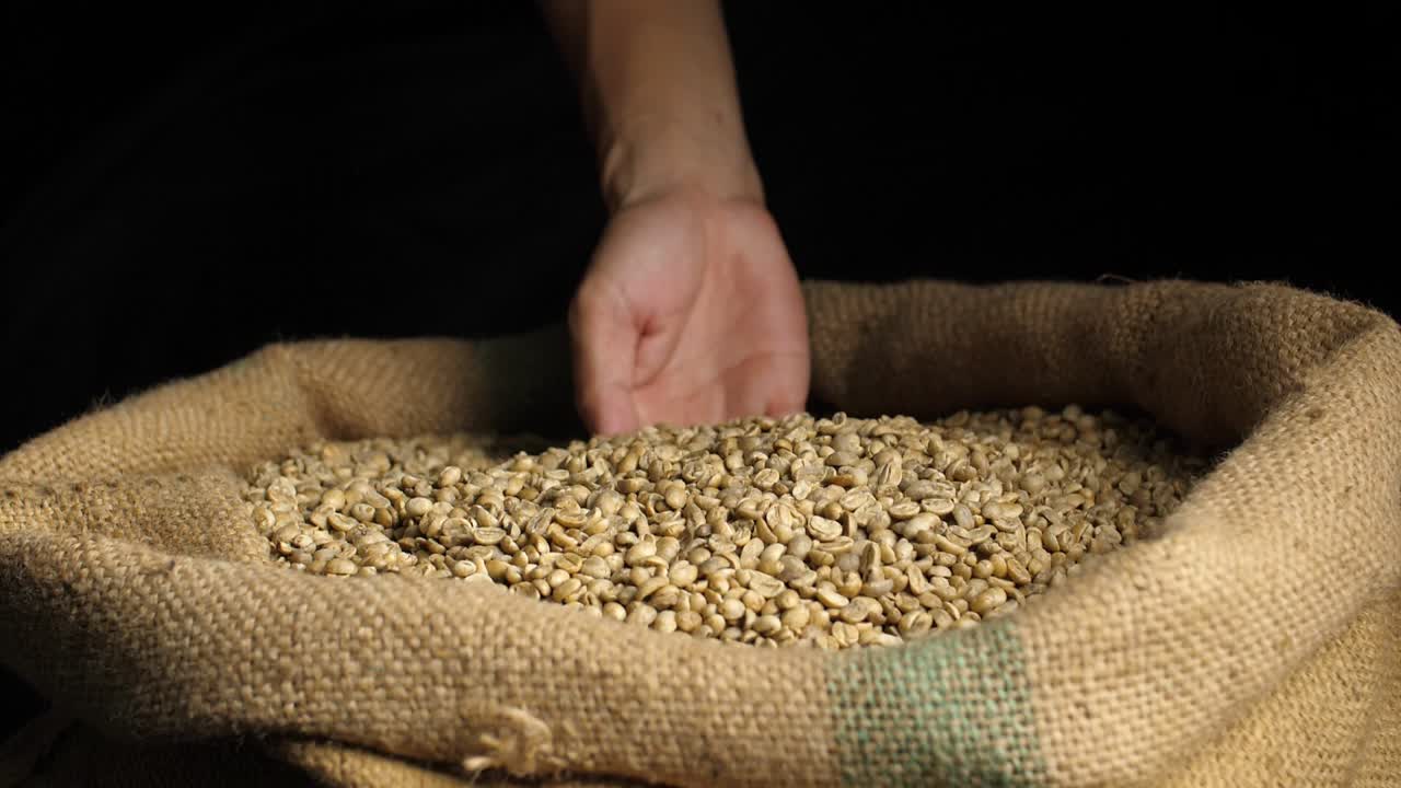 Hands Holding Freshly Green Coffee Beans, Slow Motion