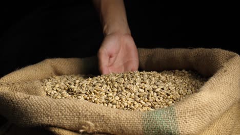 hands holding freshly green coffee beans, slow motion