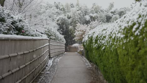Sagano-Bambuswaldweg-In-Kyoto-Mit-Schnee,-Winterszene-Ohne-Menschen