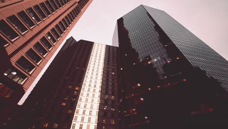 skyscrapers in the city
