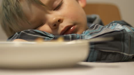 young beautiful boy kid is sleeping at dining table with food in plate