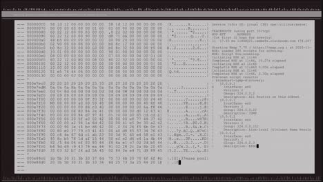 Animación-Del-Procesamiento-De-Datos-En-La-Pantalla-Gris-De-La-Computadora