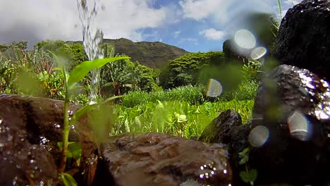 pura agua limpia y fresca se vierte de una cascada 1