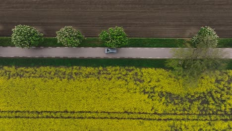 top down aerial view car riding through picturesque landscape with canola field