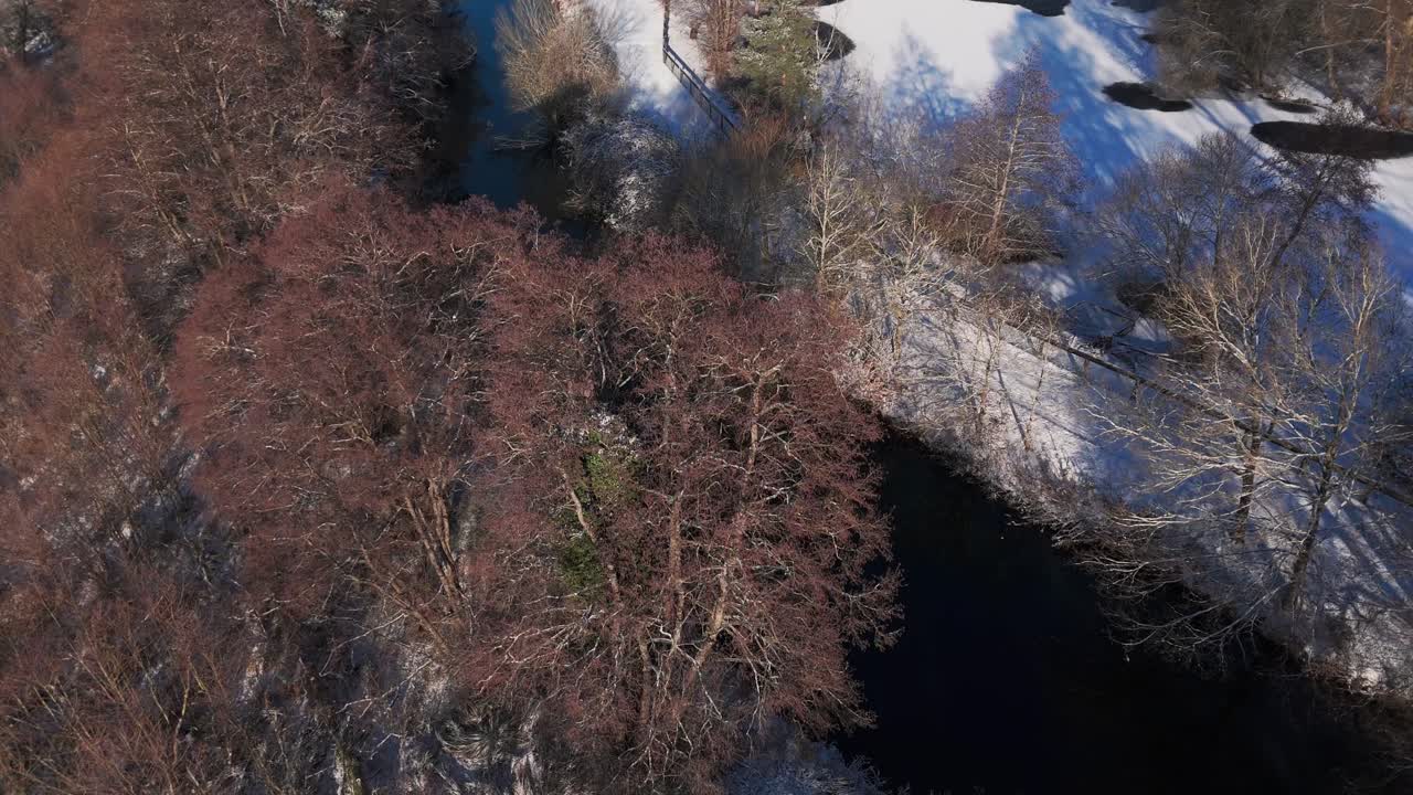 Lago ghiacciato con neve e alberi, tranquilla scena invernale a Thetford