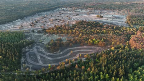 vista aérea de un paisaje de brezo con senderos sinuosos