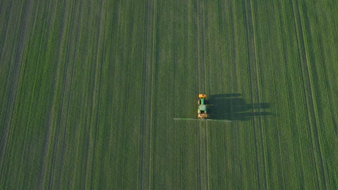 vista aérea de un agricultor rociando campos de cultivos con tractor, fumigación de pesticidas y fertilizantes, noche soleada de verano, luz de la hora dorada, tiro de avión no tripulado de ojo de pájaro avanzando