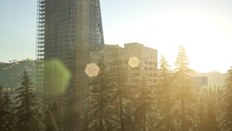 park forest and skyscrapes at sunset