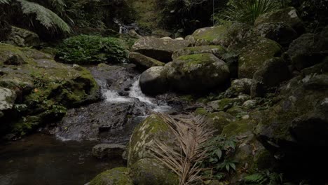 Corriente-Que-Fluye-Sobre-Rocas-Cubiertas-De-Musgo-En-El-Bosque-Del-Parque-Nacional-De-Lamington---Interior-De-La-Costa-De-Oro-En-Australia