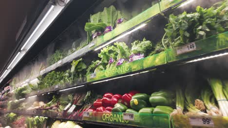 organic produce section of a grocery store with mist spray to freshen