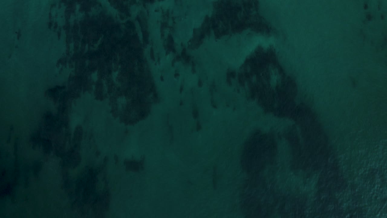 vista aérea de delmar surf