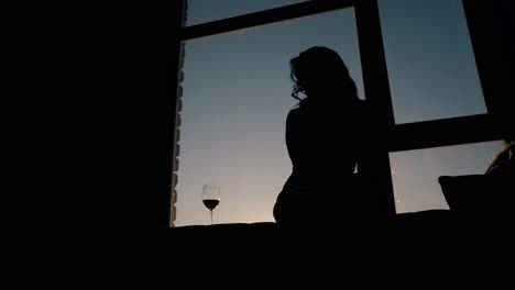 silhouette-of-girl-looking-at-wine-in-dark-room-after-sunset