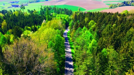 Vista-Aérea-De-Una-Serena-Carretera-Rural-Que-Serpentea-A-Través-De-Un-Exuberante-Bosque-Verde