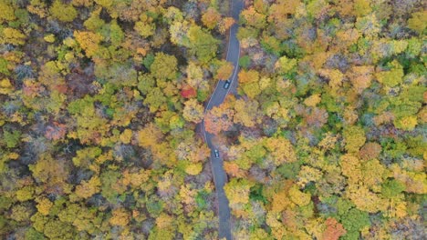 Birds-Eye-Aerial-View-of-Car-Traffic-on-Countryside-Road-Deep-in-Forest-on-Fall