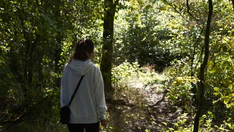 woman walking alone in the forest, sun rays light up canopy, casual clothes