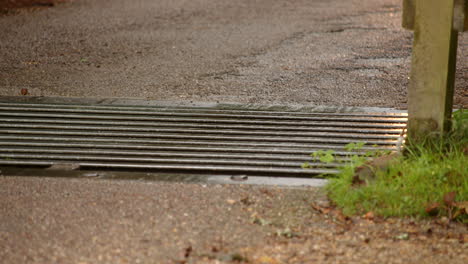 close-up-of-three-bikes-then-a-silver-car-going-over-a-cattle-grid-in-the-New-Forest