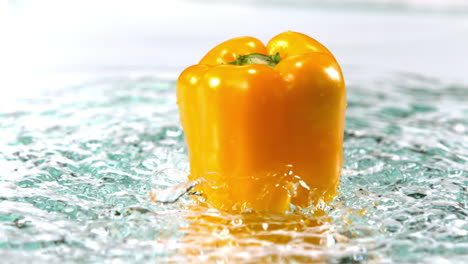 yellow pepper spinning on water