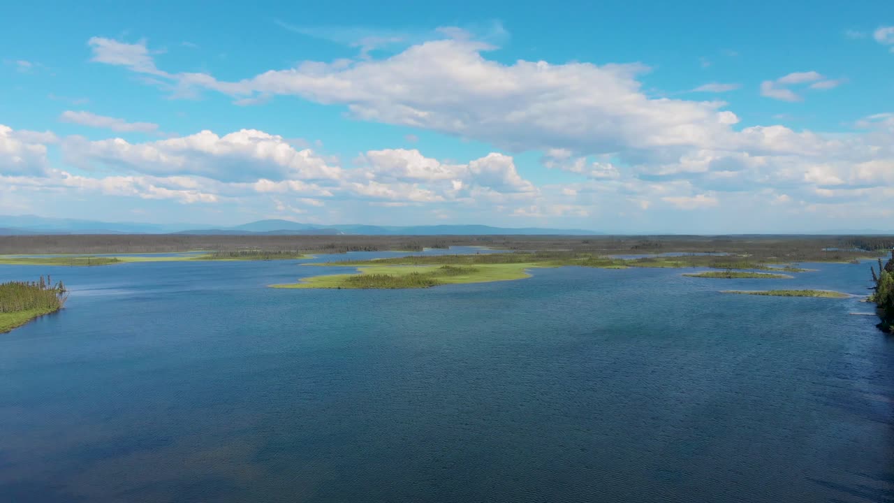 video de drones de 4k del lago clearwater y el río tanana cerca del cruce del delta, ak durante el verano