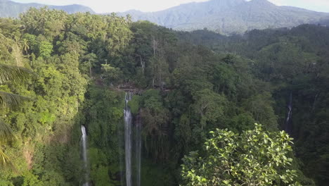 flight between palm trees approaches tall dramatic waterfall