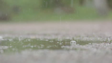 slow motion, closeup - heavy rain droplets falling into a puddle