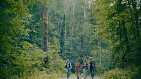 group of young tourists exploring woods