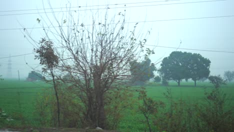 Campos-De-Cultivo-Vista-Panorámica-De-Derecha-A-Izquierda-Desde-La-Ventanilla-Del-Coche-Pov-Punjab-Verde-Niebla-Invernal