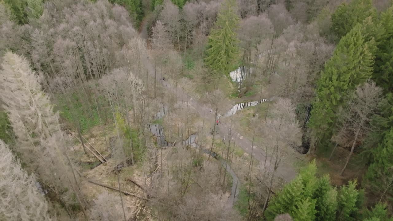 bosque a principios de la primavera con un arroyo sinuoso que lo atraviesa