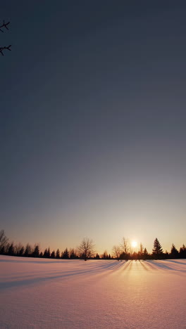 winter sunrise over snow-covered field