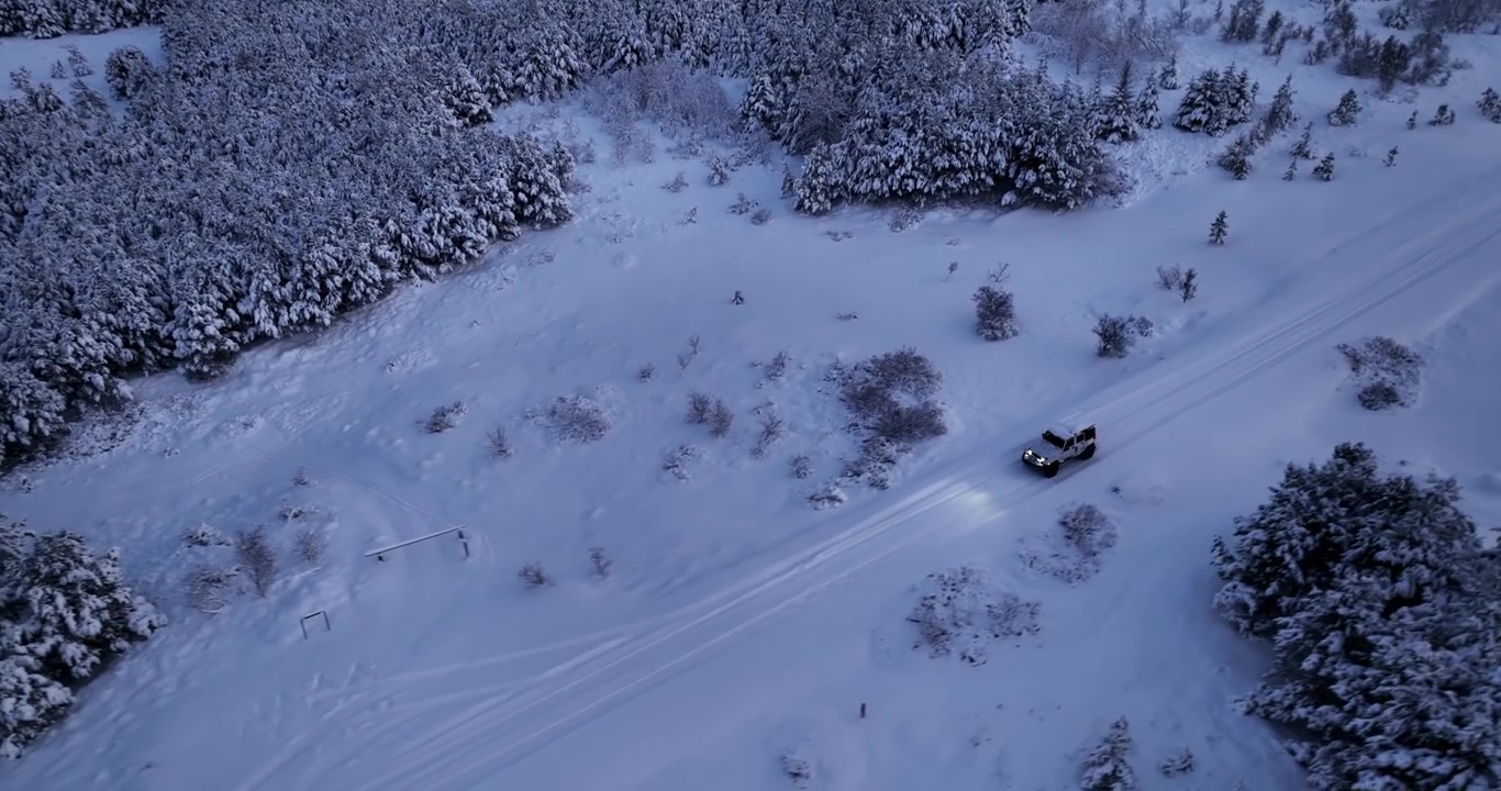 Un 4x4 bianco con i fari accesi che guida attraverso Heiðmörk, Islanda, durante l'ora blu, con conifere brinate, distese di neve, tracce di pneumatici e arbusti invernali scuri.