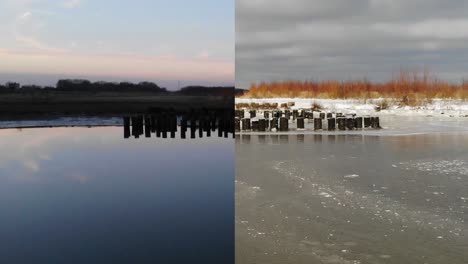 one week difference of creezepolder nature reserve in netherlands