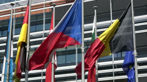 4k. some flags of european union countries are waving. european quarter