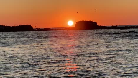 A-calm-and-peaceful-sunset-with-birds-flying-over-a-beautiful-landscape-made-up-of-ocean,-rocks,-and-waves