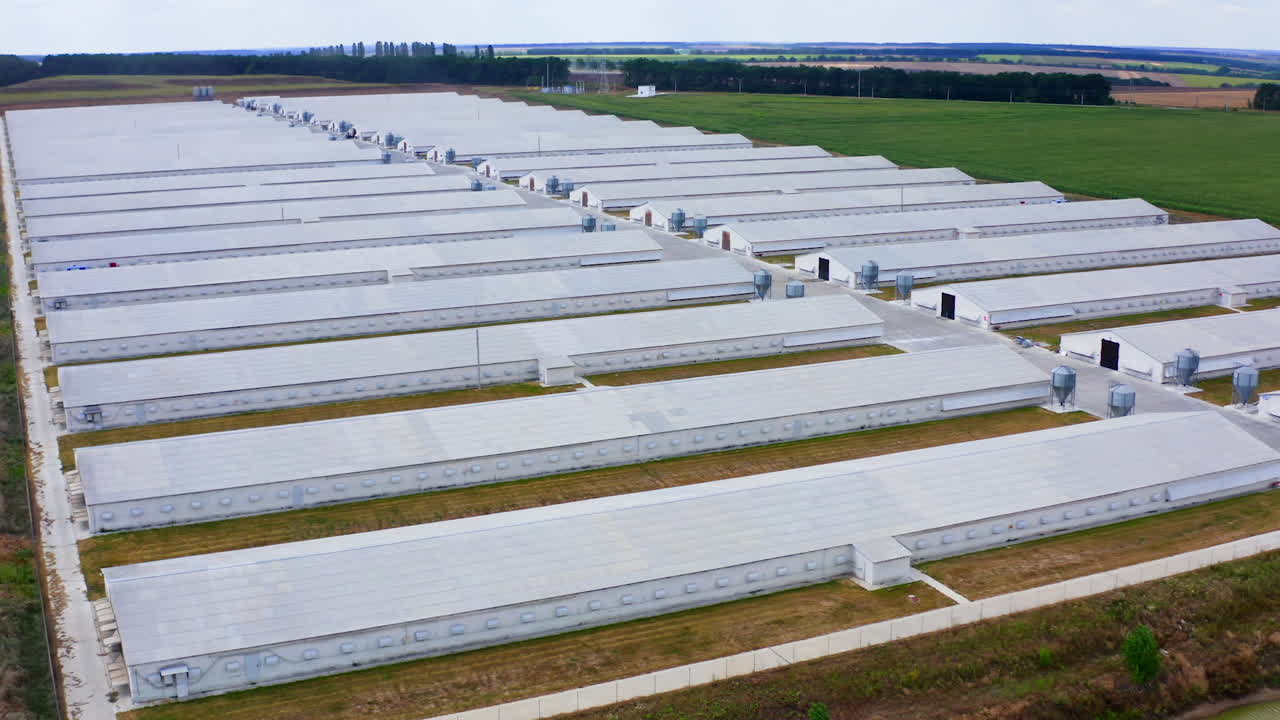 Prefabricated farm building in a green field. Many industrial buildings in rural area. View from above on white roofs of poltry farm.