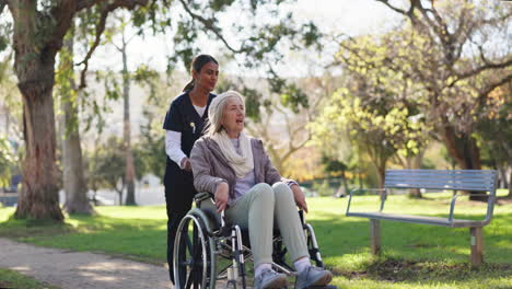 nurse assisting senior woman in wheelchair in park