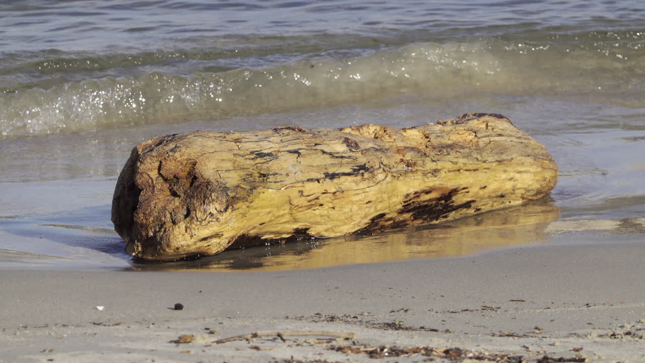 Close up of waves crashing on a log at the beach in daylight