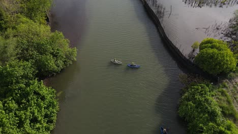 aerial view, rowing a canoe on a river edged with dense green trees