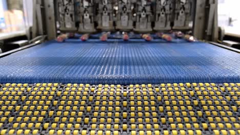 popsicle icecream factory producing on production line