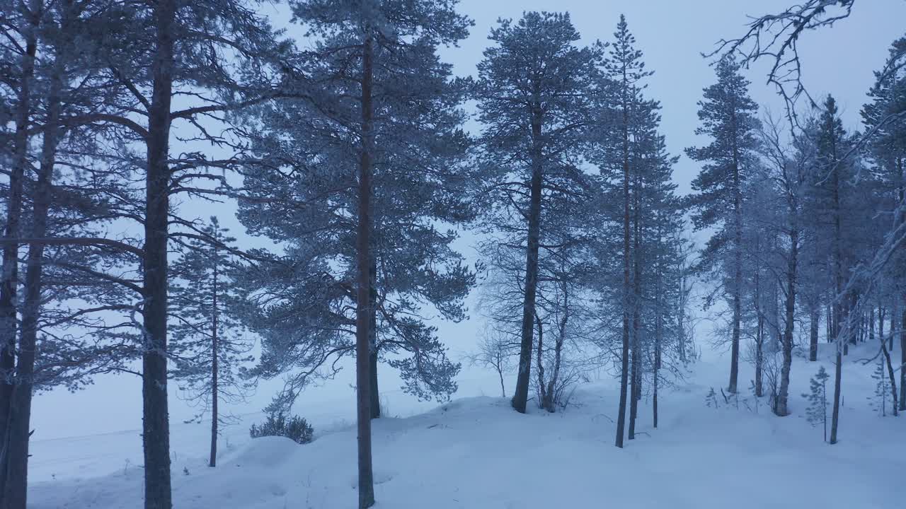 Traveling through the white magical forest in Lapland, Finland