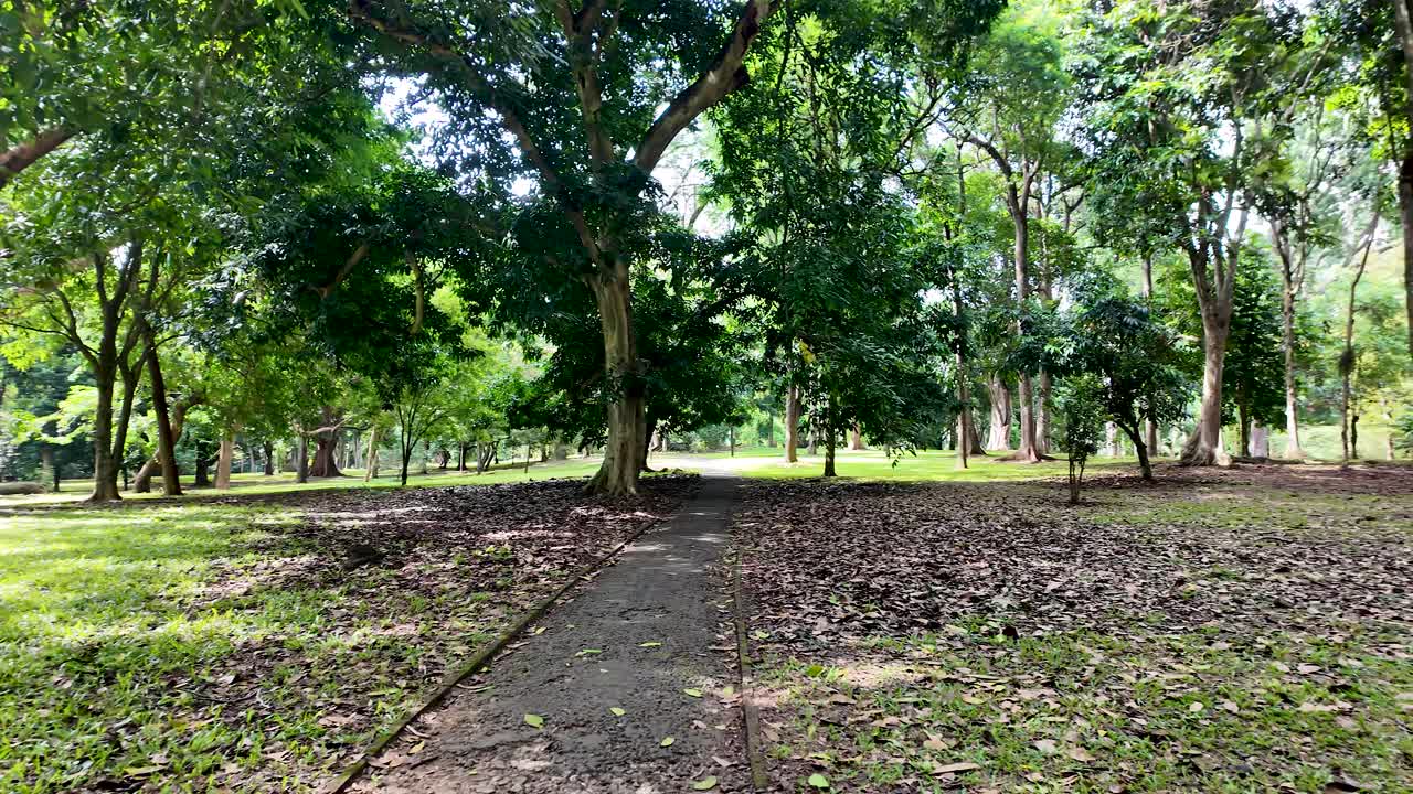 Tranquil park scene, showcasing lush greenery and tall trees with a paved walking path running through the serene landscape, perfect for relaxation.