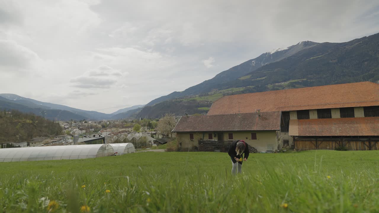 девушка собирает цветы на поле в 4k